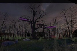 dm_badgerset_night