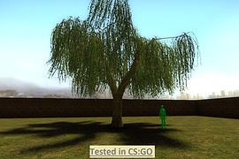Weeping_Willow_01