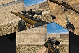 Gewehr-43 on IIopn s anim