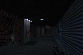 kidney