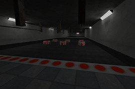 skillrun_euthanasia