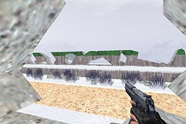 aim_winter