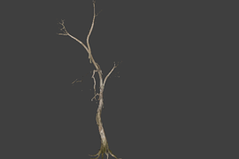 !tree_03
