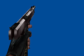 Default Silver Colts