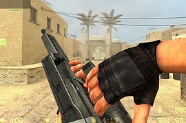 G36