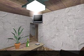 cs_house