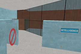 intel_race