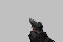 Sig Pro 2009