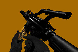 Private Collection - M4A1 Wolverine