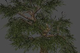 fnv_tree04
