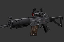 Hav0c s SIG552