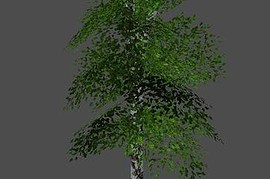 buisson28