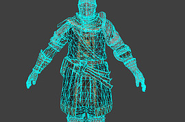 Elite Knight Set