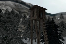 dm_winter_forrest_beta