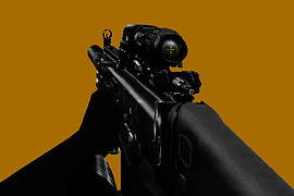 PrivateCollection - Tactical SCAR-L