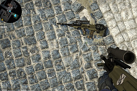 AUG Tactical Rifle | Hostage Situation