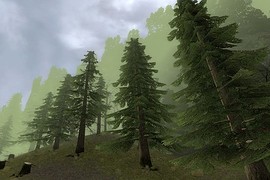 gm_niebla