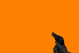 Desert Eagle black with HL2 Hands