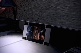 Empty Frame on Shepards Desk (v.2)