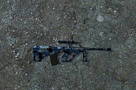 Arctic AUG