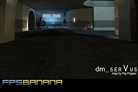 dm_serVus
