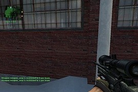 Camo AWP