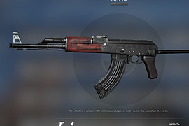 AKMS