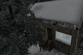 dm_winter_forrest_beta