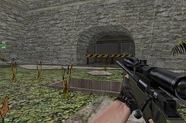 AWP