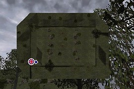 dod_aim2