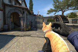 Cat gun