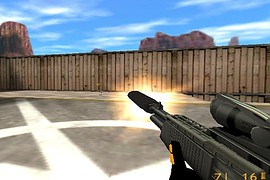 Custom SPAS-12