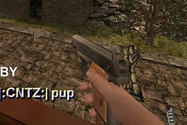 Pup_s_PPK