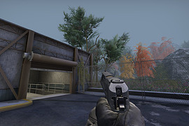 Hand Cannon from BOCW