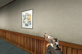 Kimber Desert Warrior