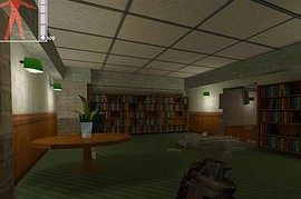 Half-Life Invasion