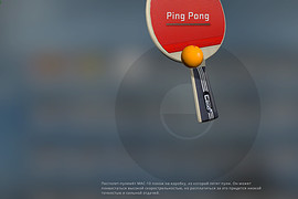 Ping Pong