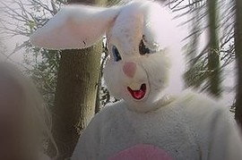 Egg Bomb