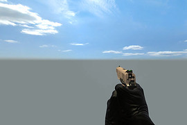 Kimber Desert Warrior