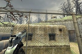 Silver Black Deagle