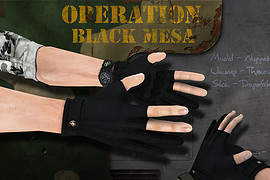 Operation Black Mesa