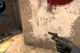 P250 default mini