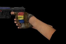 DarkElfa_s_Gloves_Of_The_World_Addon_(Romania)