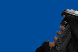 HK USP 9mm Auto (only v_)