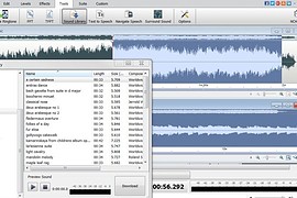 WavePad (ru 6.23, eng 9.01)