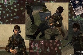 Accurate_Waffen_SS_Skin