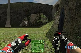 Canadian_Camos