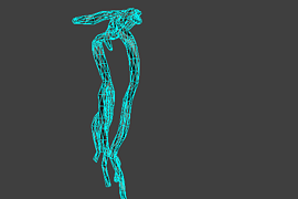 l18_road_root01
