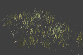 grass_pack_big2