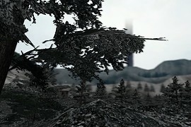 dm_winter_forrest_beta